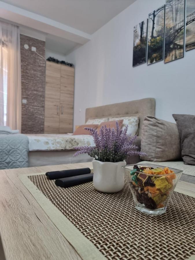 Vrnjačka Banja Apartman Temida Lux מראה חיצוני תמונה